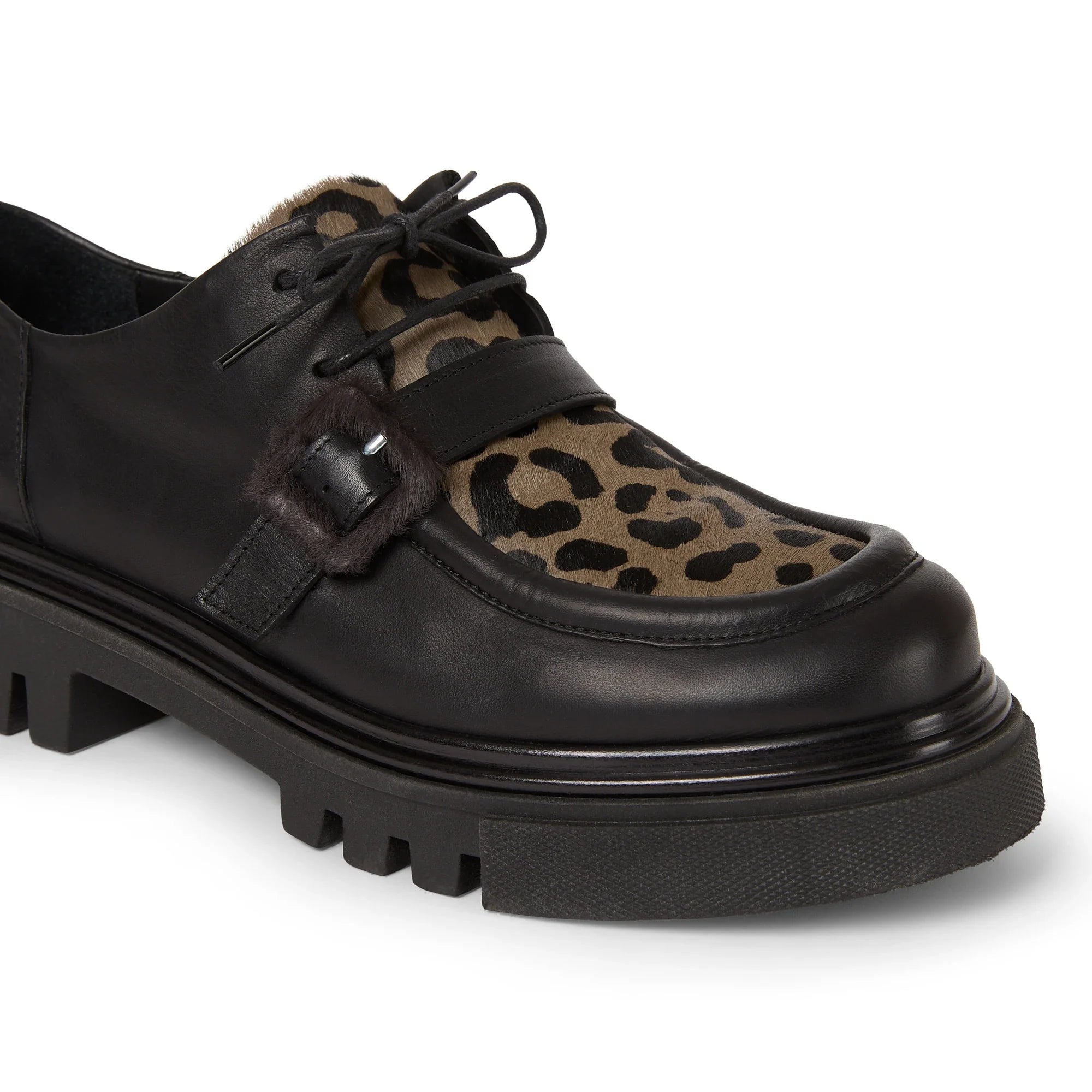 Leopard Buckle Loafer in Norton